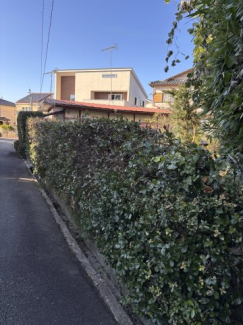 【前面道路含む現地写真】