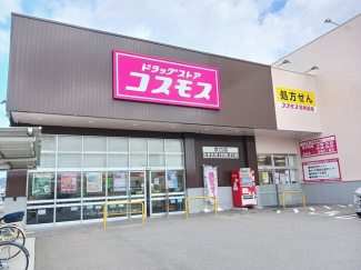 コスモスまで300m