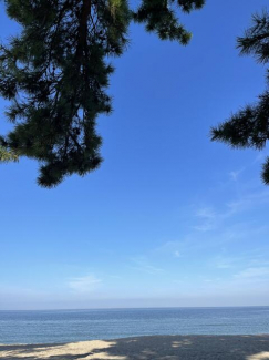 大浜海岸まで650m