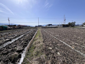 西条市港の売地の画像