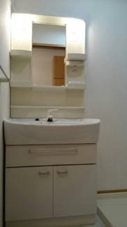 スペースが確保できる洗面所です