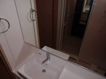 忙しい朝には欠かせない洗面所です