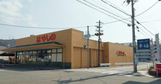 はやしの田寺店まで810m