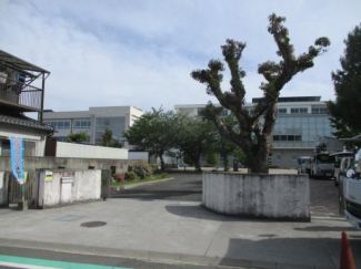 松山市立三津浜小学校まで736m