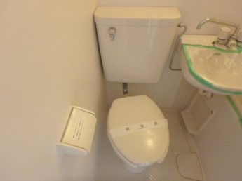 落ち着いた色調のトイレです