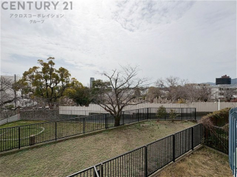 物件からの展望