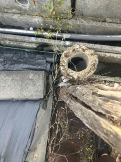 土地南西境界部分