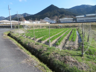 農地は４４８坪あります
