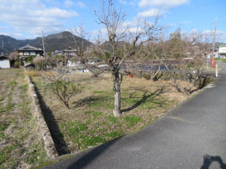 柿や栗、梅もあります