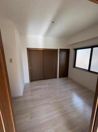 シャインスリーの画像