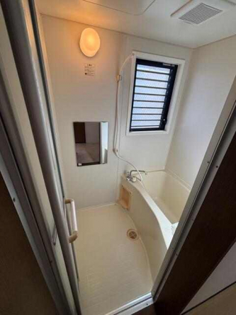 シャインスリーの画像