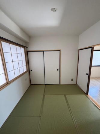 シャインスリーの画像