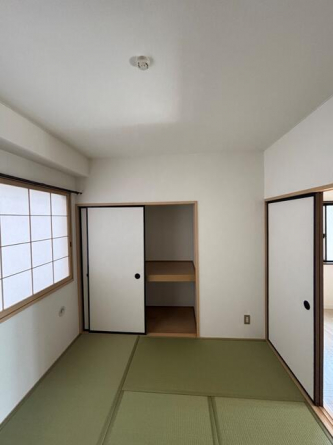 シャインスリーの画像