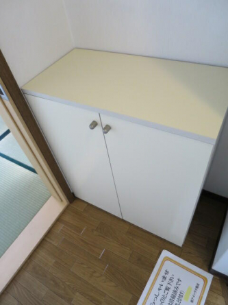 シャインスリーの画像