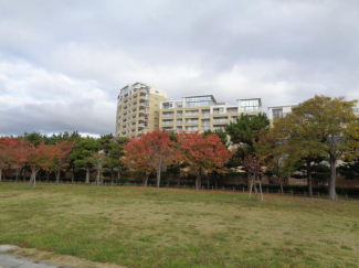 西宮マリナパークシティ　港のまちハーバーヴィラ南棟の画像