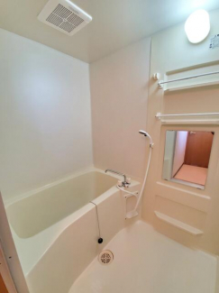 シトラスハーモニーの画像