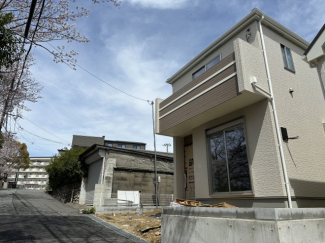 2026年4月5日撮影