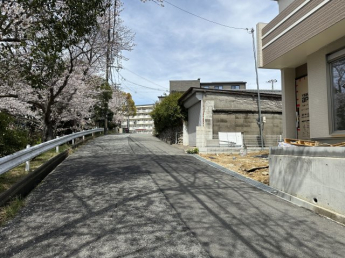 2026年4月5日撮影