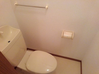 落ち着いた色調のトイレです