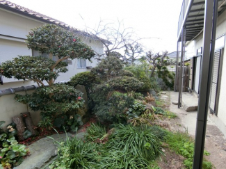 灯ろうや梅の木等きれいなお庭が南側にお庭にあります