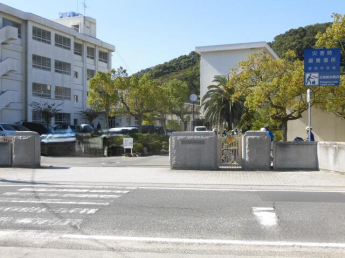 松山市立津田中学校まで917m