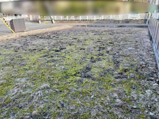 宇和島市佐伯町２丁目の売地の画像