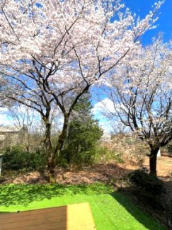 高島市今津町梅原中古戸建の画像