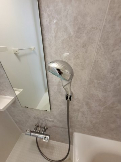 リファシャワーヘッド　限定数プレゼント