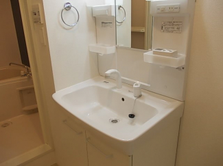 スペースが確保できる洗面所です