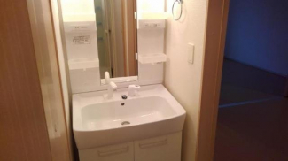 忙しい朝には欠かせない洗面所です