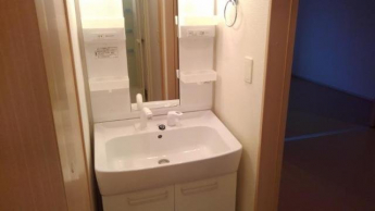 忙しい朝には欠かせない洗面所です