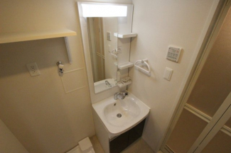 忙しい朝には欠かせない洗面所です