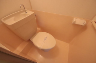 落ち着いた色調のトイレです