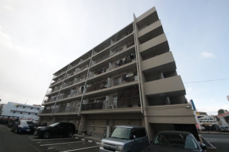 外観もきれいです