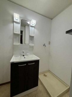 シャンプードレッサー