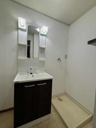 シャンプードレッサー