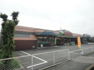 ヤマダストアー網干店まで810ｍ