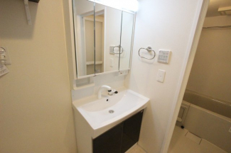 スペースが確保できる洗面所です