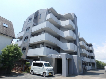 外観も気になるポイント