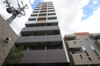 外観も気になるポイント