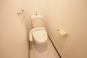 清潔感のあるトイレです