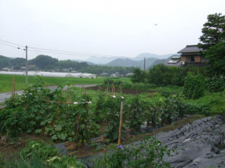 宇和島市三間町土居中の売地の画像