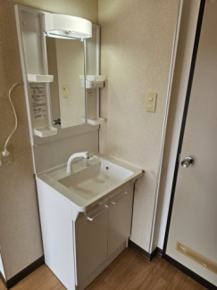 シャワー付きの洗面台です