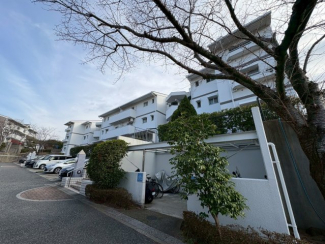 外はこのようになっています