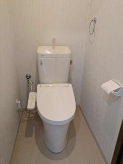 パインヒル・コーナンの画像