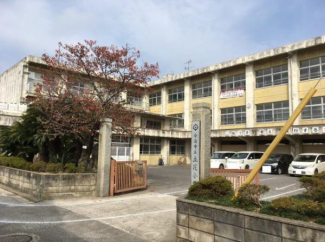 今治市立立花小学校まで855m