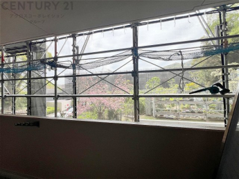 物件からの展望