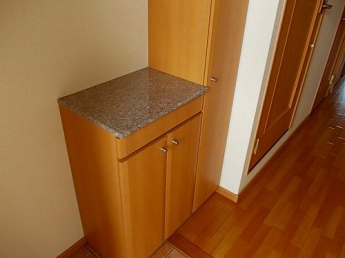 落ち着いた玄関です