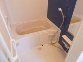 落ち着いた空間のお風呂です