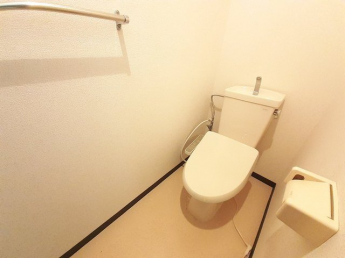 落ち着いた色調のトイレです